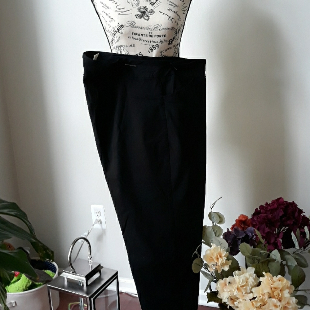 Dress pants never worn/terra sky